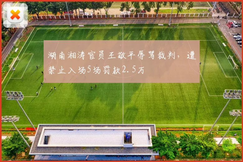 湖南湘涛官员王敬平辱骂裁判，遭禁止入场5场罚款2.5万