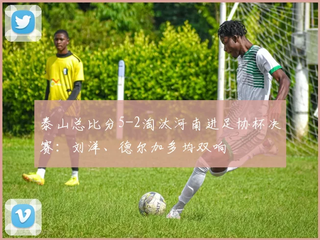 泰山总比分5-2淘汰河南进足协杯决赛：刘洋、德尔加多均双响