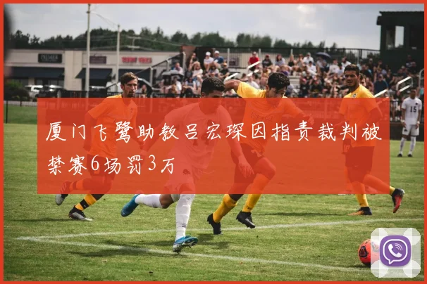 厦门飞鹭助教吕宏琛因指责裁判被禁赛6场罚3万