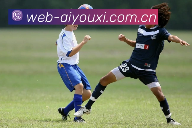 爱游戏体育发展历程